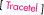 tracetel-petit